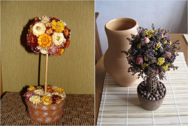 Сухоцветы - фото и названия, идеи букетов и композиций для интерьера