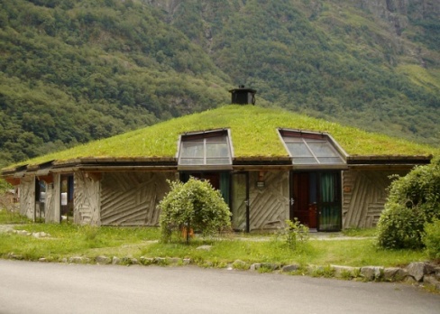 Газон на крыше дома – озеленение крыши дачи