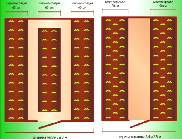 Грядки в теплице – расположение и варианты своими руками