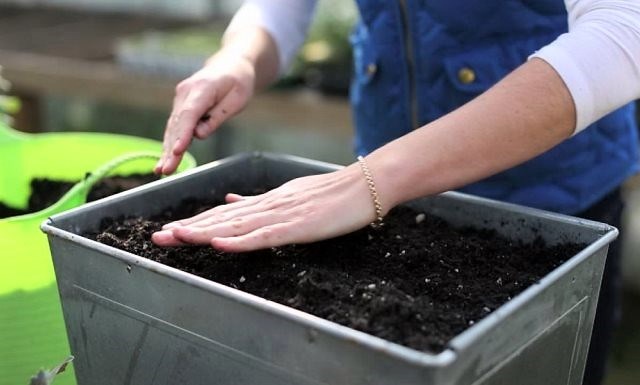 Грунт для рассады: готовим качественную смешанную почву самостоятельно