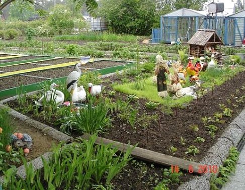 Как сделать декоративный огород украшение сада и клумбы