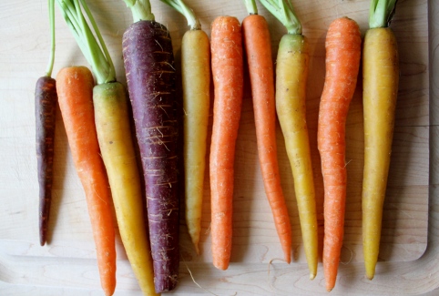 Когда сажать (сеять семена) морковь? Правильная посадка и выращивание