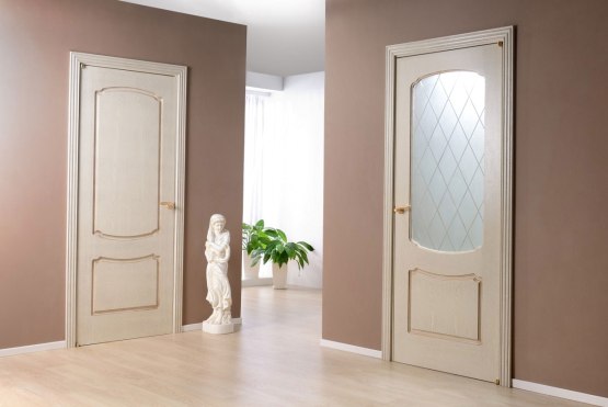 Межкомнатные двери в интерьере – выбор, варианты дизайна, фото